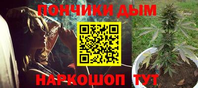 дурь Можга